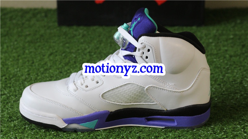 Authentic Air Jordan 5 Retro Grapes